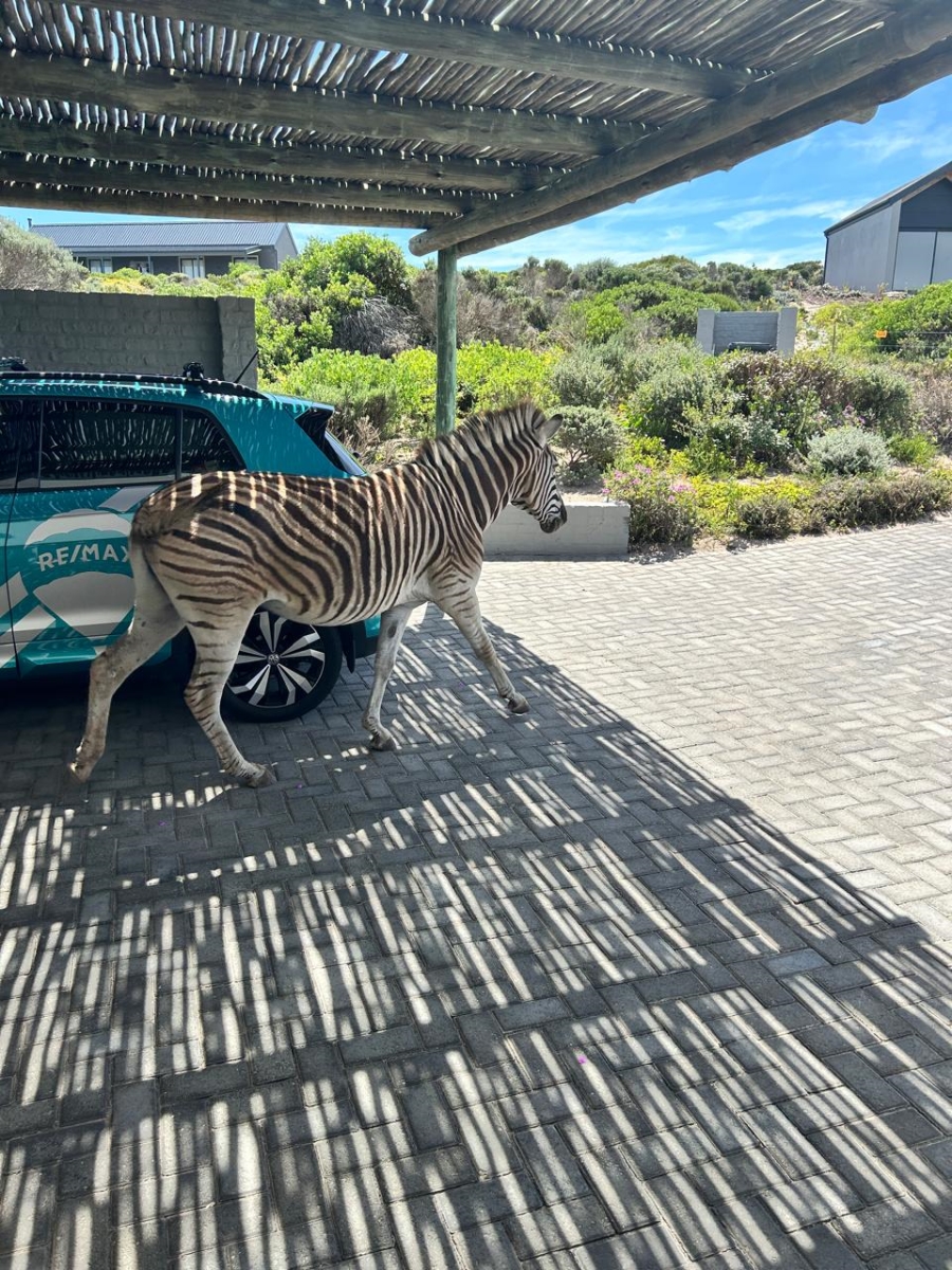 4 Bedroom Property for Sale in Romansbaai Estate Western Cape